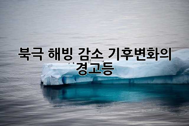 북극 해빙 감소: 기후변화의 경고등