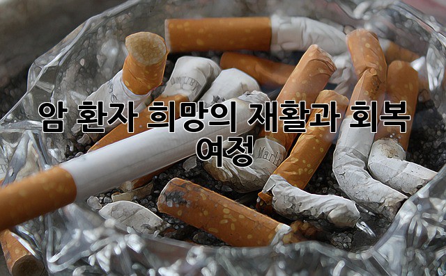 암 환자, 희망의 재활과 회복 여정