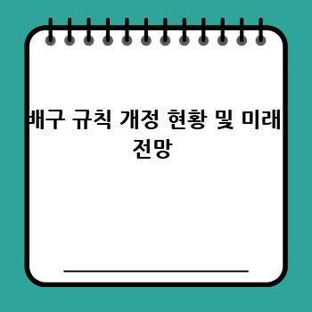 배구 규칙 개정 현황 및 미래 전망