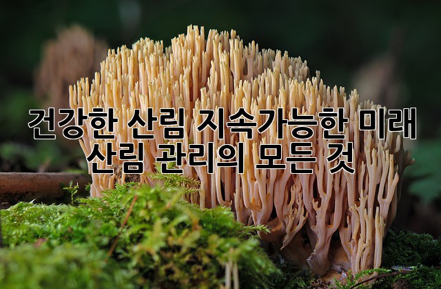 건강한 산림, 지속가능한 미래: 산림 관리의 모든 것