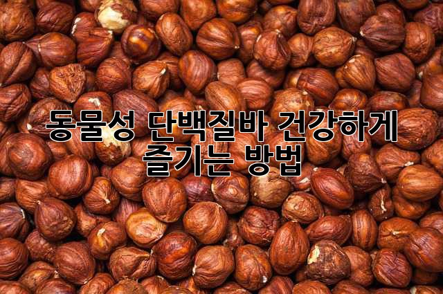 동물성 단백질바: 건강하게 즐기는 방법