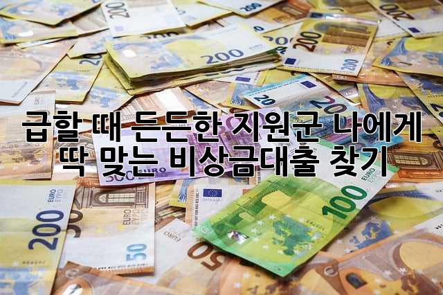급할 때 든든한 지원군! 나에게 딱 맞는 비상금대출 찾기