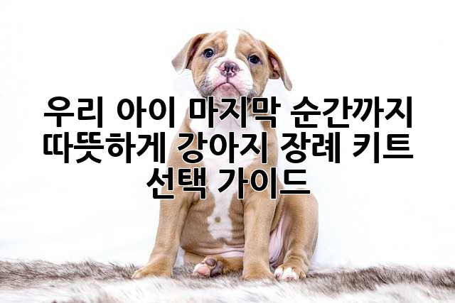우리 아이, 마지막 순간까지 따뜻하게: 강아지 장례 키트 선택 가이드