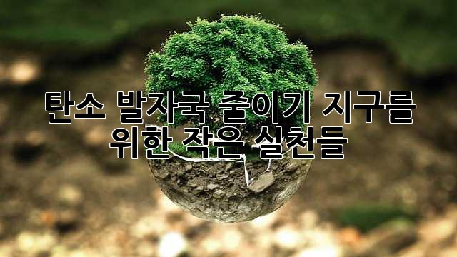 탄소 발자국 줄이기: 지구를 위한 작은 실천들