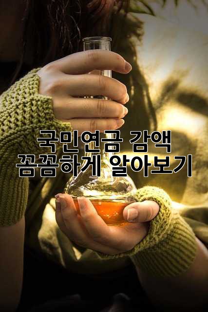 국민연금 감액, 꼼꼼하게 알아보기