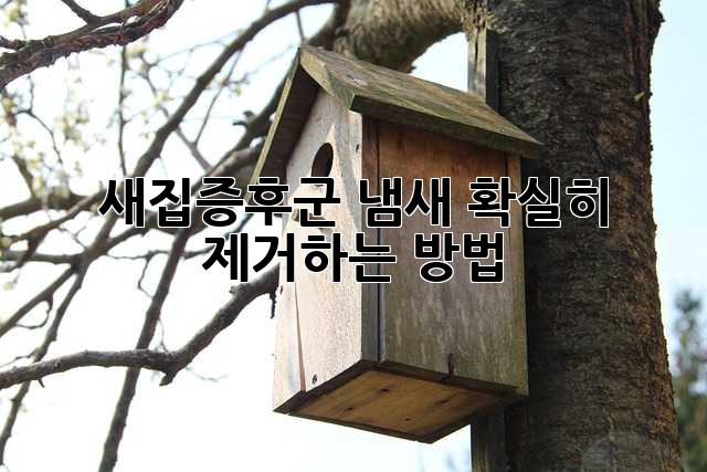 새집증후군, 냄새 확실히 제거하는 방법!