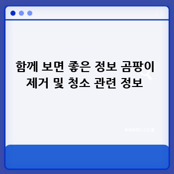 함께 보면 좋은 정보 곰팡이 제거 및 청소 관련 정보