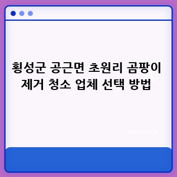 횡성군 공근면 초원리 곰팡이 제거 청소 업체 선택 방법