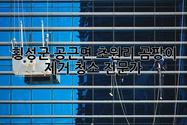 횡성군 공근면 초원리 곰팡이 제거 청소 전문가