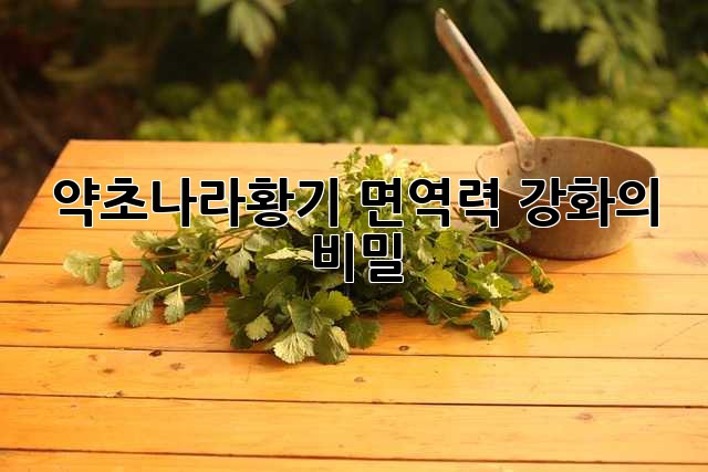 약초나라황기: 면역력 강화의 비밀