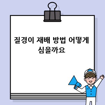 질경이 재배 방법 어떻게 심을까요