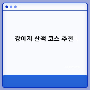 강아지 산책 코스 추천