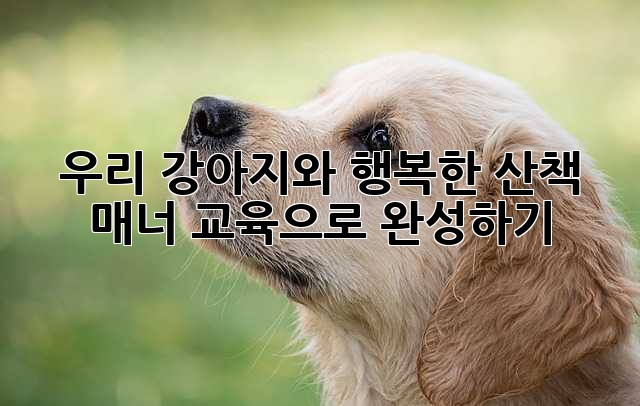 우리 강아지와 행복한 산책, 매너 교육으로 완성하기!