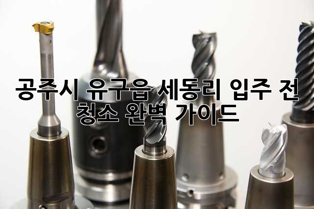 공주시 유구읍 세동리 입주 전 청소 완벽 가이드