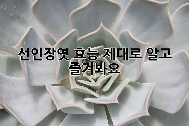 선인장엿 효능, 제대로 알고 즐겨봐요!