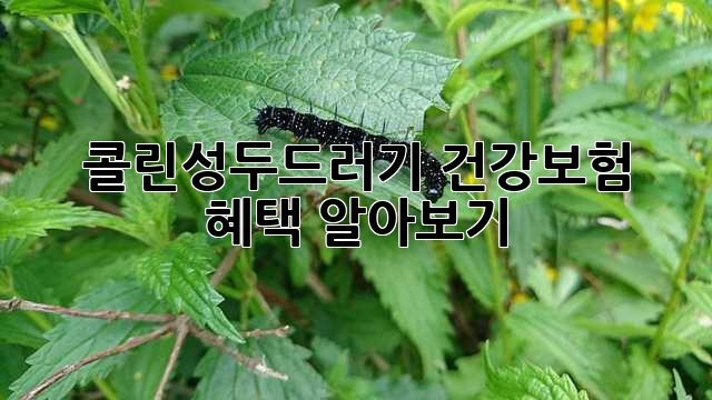콜린성두드러기, 건강보험 혜택 알아보기!