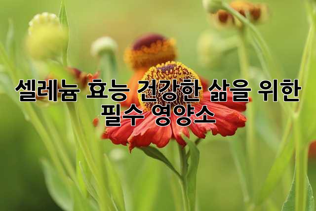 셀레늄 효능: 건강한 삶을 위한 필수 영양소