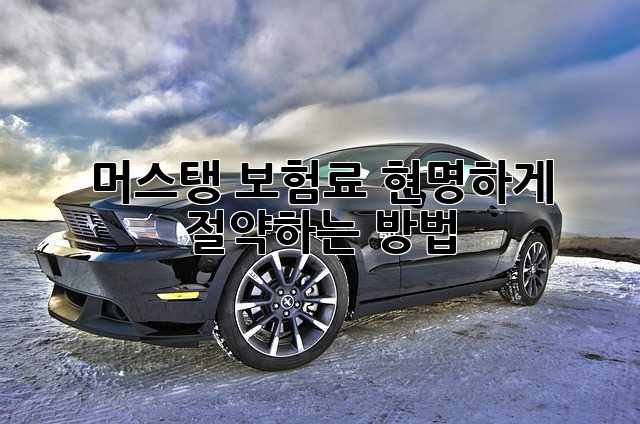 머스탱 보험료, 현명하게 절약하는 방법!