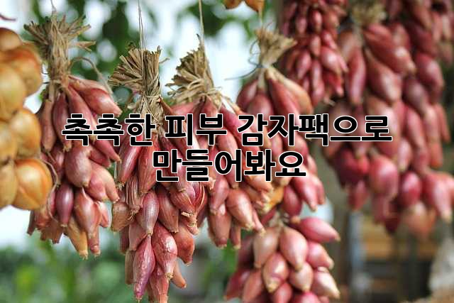 촉촉한 피부, 감자팩으로 만들어봐요! ✨