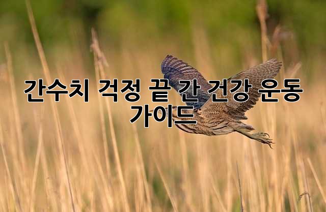 간수치 걱정 끝! 간 건강 운동 가이드