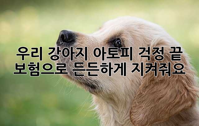우리 강아지, 아토피 걱정 끝! 보험으로 든든하게 지켜줘요🐶