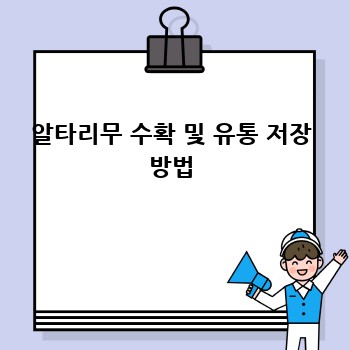 알타리무 수확 및 유통 저장 방법