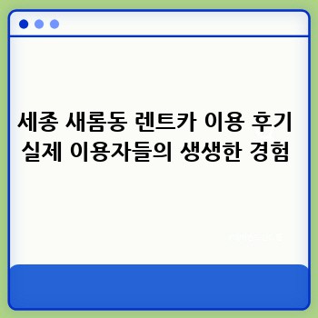 세종 새롬동 렌트카 이용 후기 실제 이용자들의 생생한 경험
