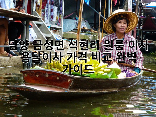 담양 금성면 석현리 원룸 이사, 용달이사 가격 비교 완벽 가이드!