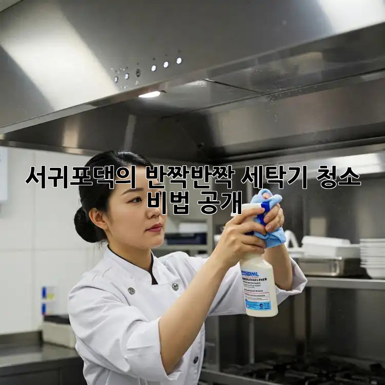 서귀포댁의 ✨반짝반짝✨ 세탁기 청소 비법 공개!